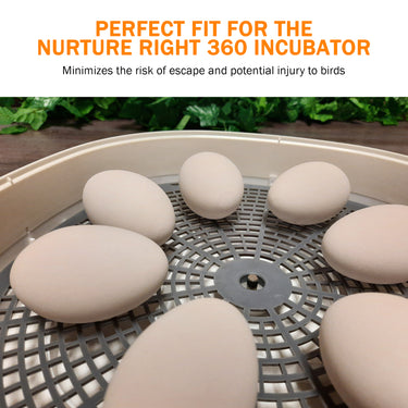 Nurture Right 360 Riser | 1.5